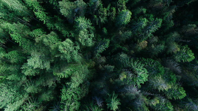 Make life easier by recycling! 10 ways to reuse evergreen content