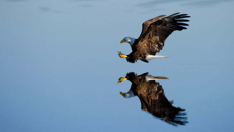 Refreshed and nurture-savvy, Market Leader's CRM deserves your attention