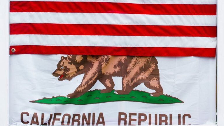 Meet the 2 agents on California's gubernatorial recall election ballot
