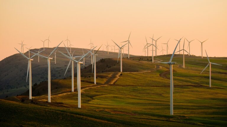 California's Red Oak Realty goes green
