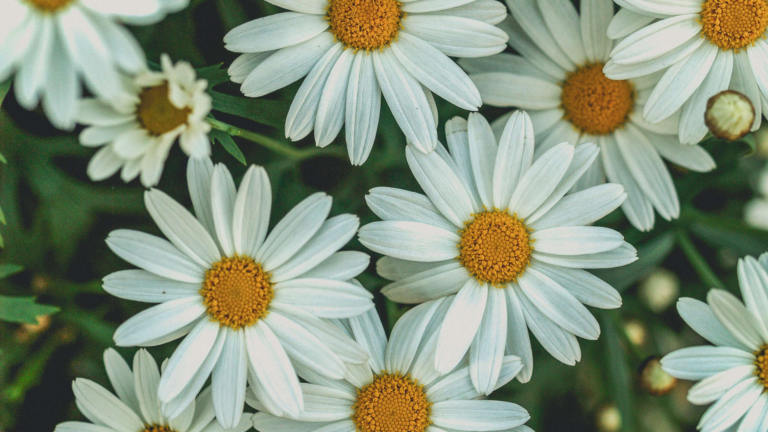 7 ways to thrive (not just survive) in a shifting market