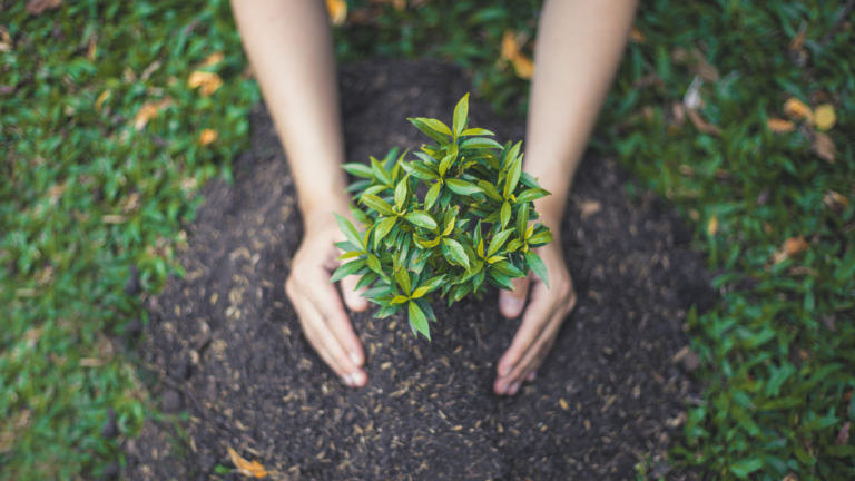 Don't stunt your growth! 7 truths to embrace now