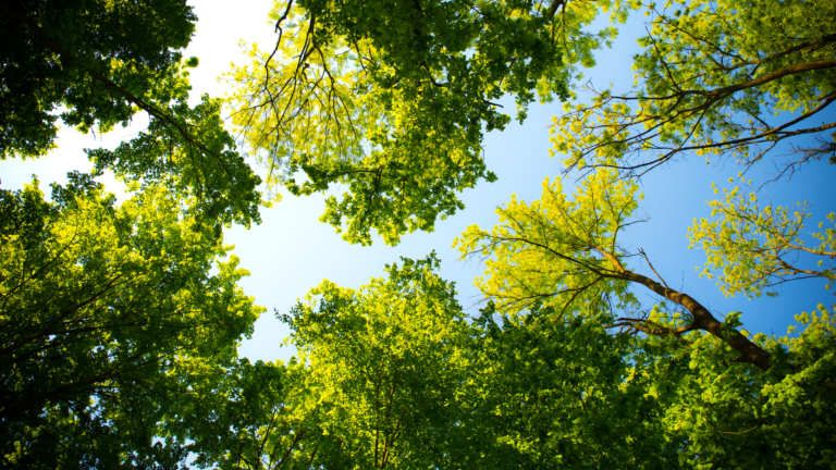 9 low-cost and no-cost ways to grow your business