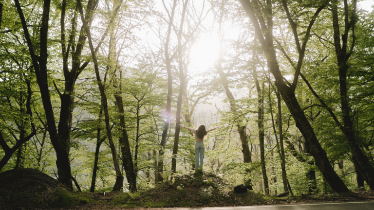 Systems, support and opportunity: What your agents need from you