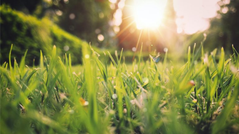 This might be the most wonderful time of the year (for homesellers)