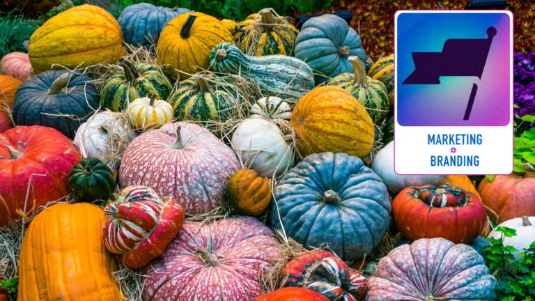 Can't wait? 4 tips to grow your social media following quickly
