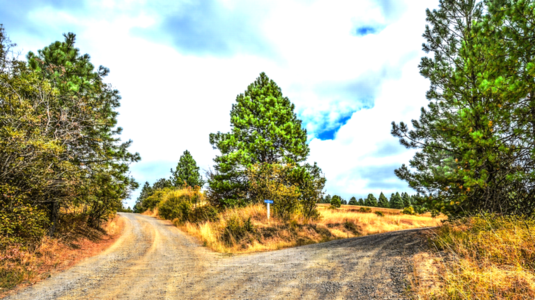 Uncertainty in real estate is inevitable. Use these tips to keep pushing ahead