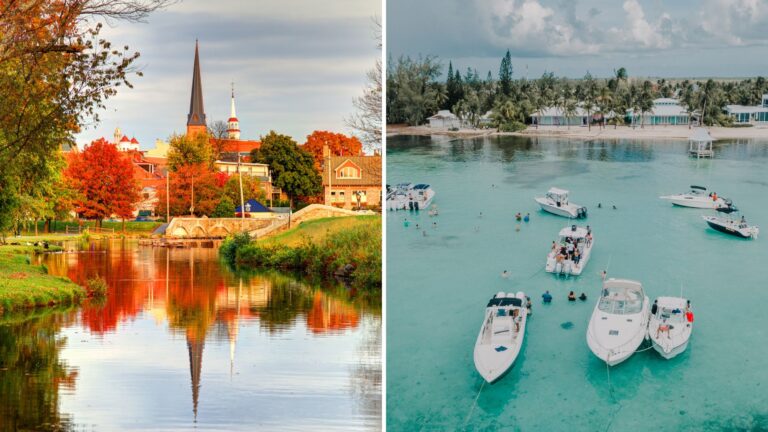 The Agency launches in Frederick, Maryland and Cayman Islands