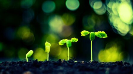 7 things that must decrease for your business to increase