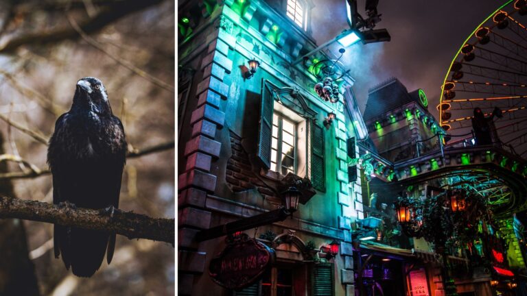 Homeowners association rules are as spooky as the grim reaper: Study