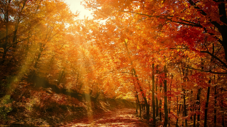 8 creative fall events you still have time to pull off