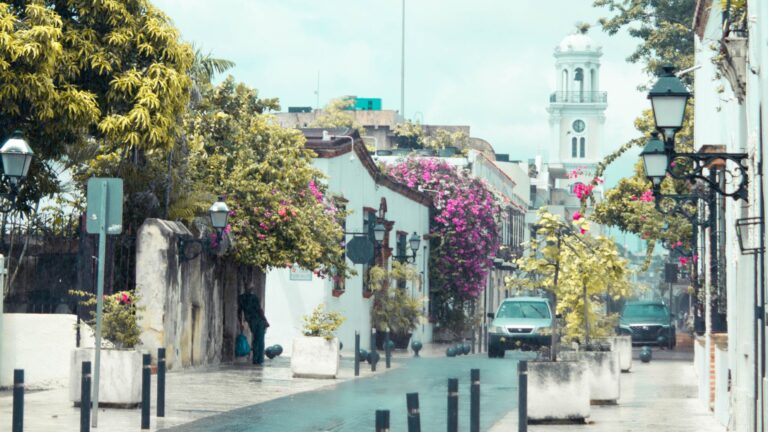 The Agency grows Caribbean presence in Dominican Republic