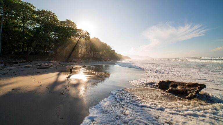 Engel & Völkers enters Central America with Costa Rican shops