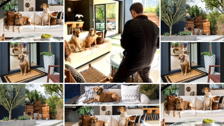 Why 'dog days' are great for business
