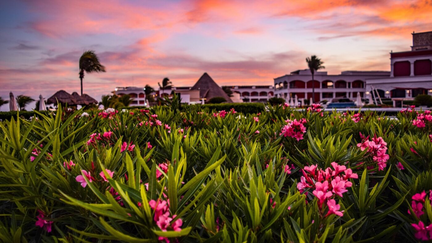 Nest Seekers Expands To Mexico As Demand From US Rises | Inman | Inman ...