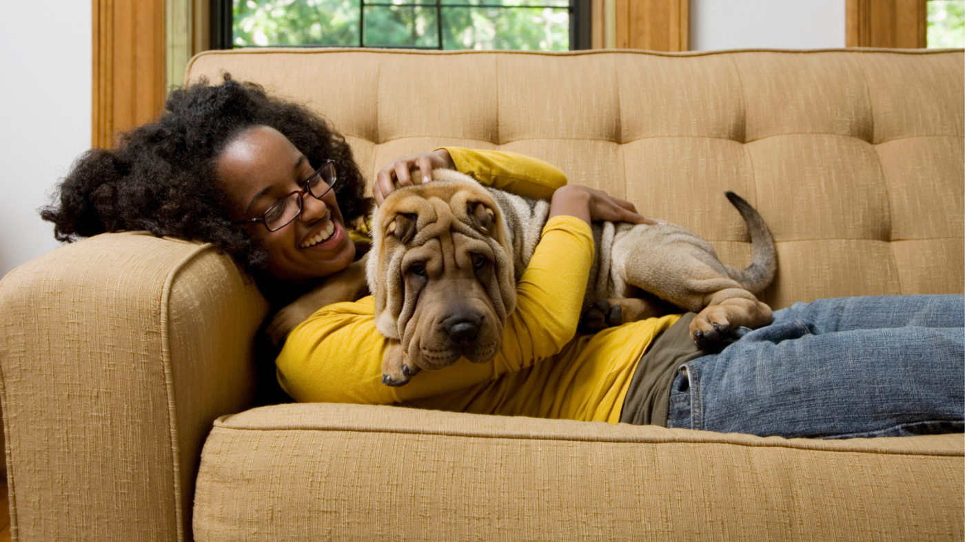 Allowing Pets In Your Rental Units Pros And Cons Inman Inman