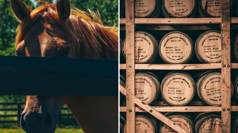 Christie's heads to bourbon country with affiliate in Lexington