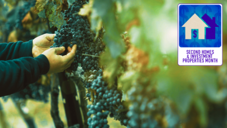 Emerging trends and opportunities in vineyard real estate investment