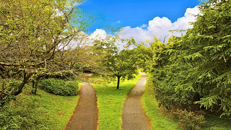 RE/MAX CEO examines alternative paths to homeownership