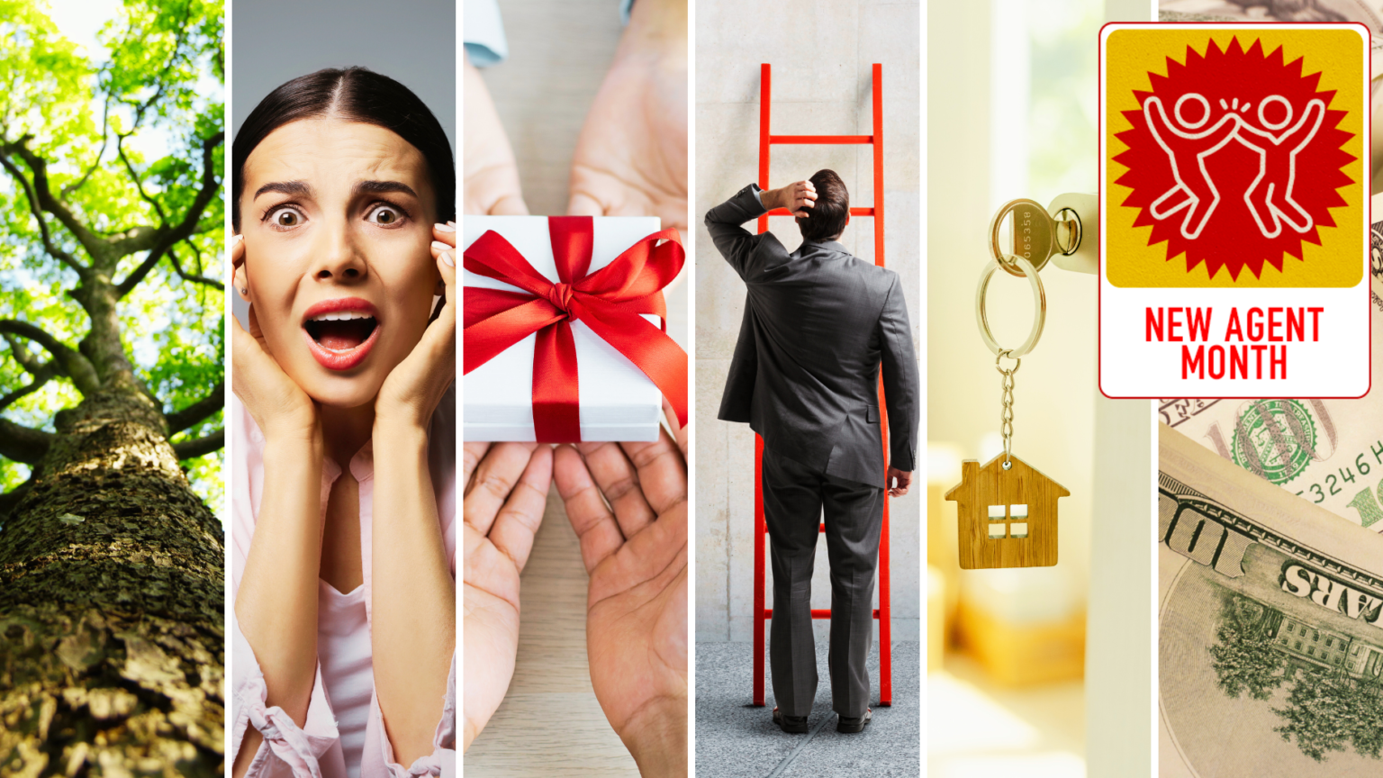 6 Surprising Real Estate Paradoxes That'll Change How You Do Business