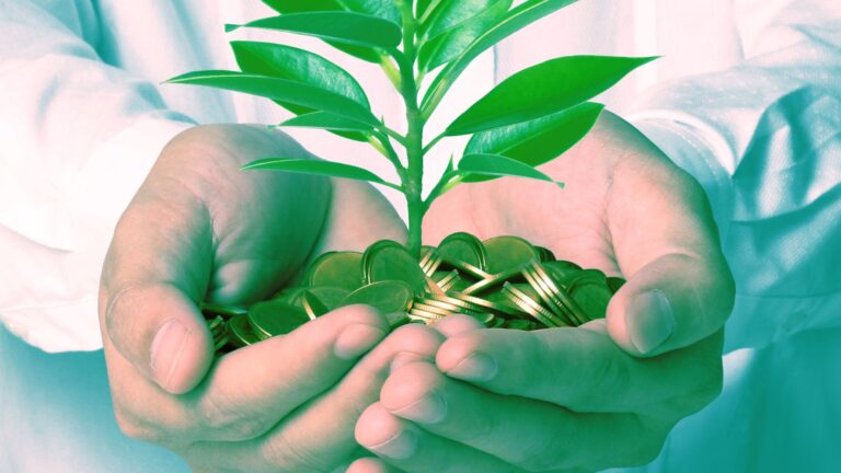 Money grows where trust flows: How to choose the right advisors