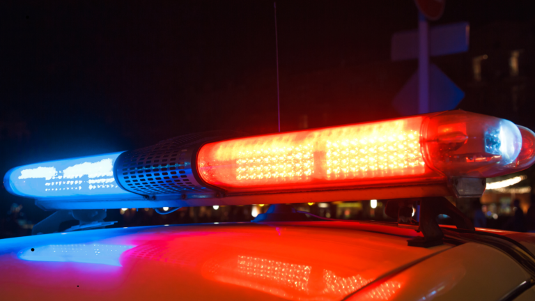 Cyberbacker CEO arrested for giving 8-year-old son edibles
