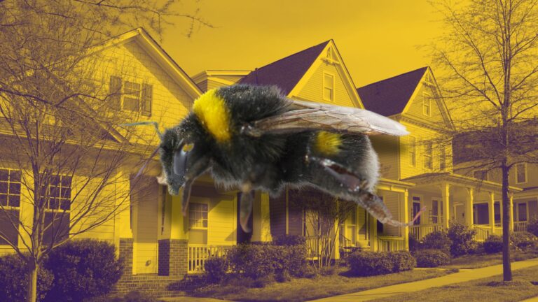 10 ways to create marketing buzz for your real estate brand