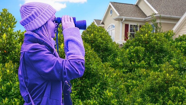 Private listings negatively impact both buyers and sellers: Watchdog