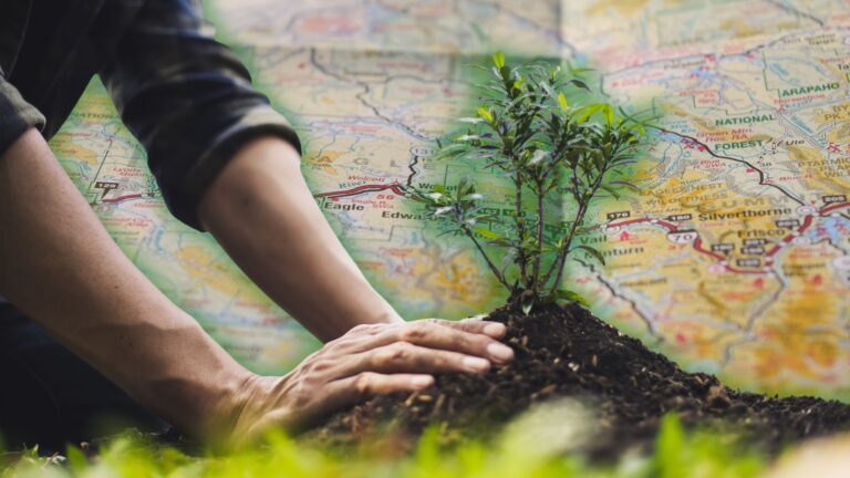 7 critical questions to ask before opening an expansion office