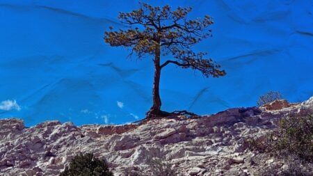 Resilient by design: 5 ways new agents turn setbacks into strength