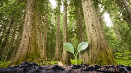 Using systems to scale: Run your business, don't let it run you
