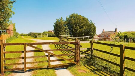 Own your own gate — or be replaced by one of the gatekeepers