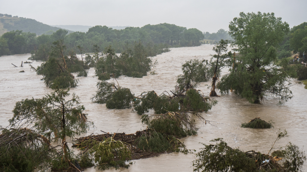 'It could have been us': Houston Realtor shares flood survival story