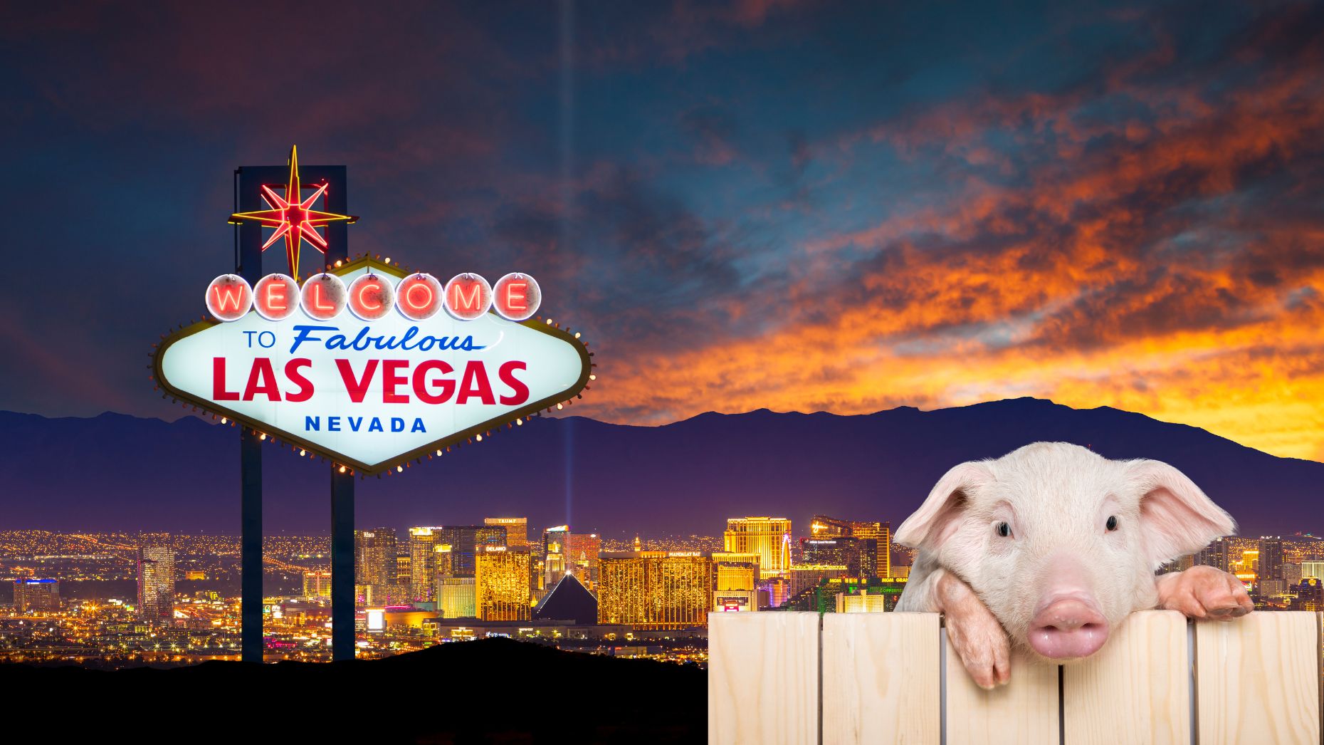 Las Vegas real estate pro finds pig’s head in mail after AI deal closing