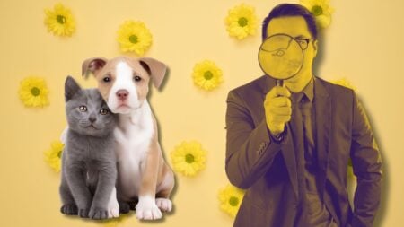pet screening for rental