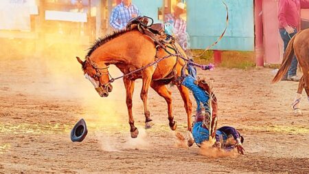 7 ways to get back up again when this market knocks you down