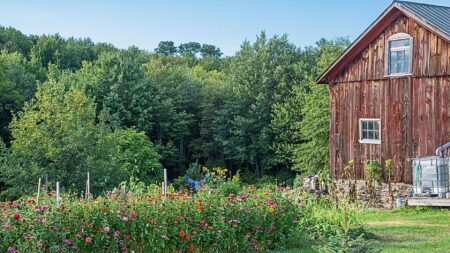 rural property to symbolize off-grid and homestead properties