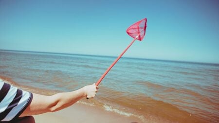 A person with butterfly net to symbolize capturing clients and how to master the close.