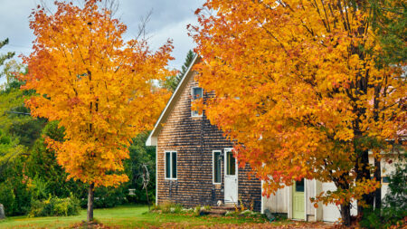 Driveway at suburban neighborhood. Autumn day in Maine, USA.