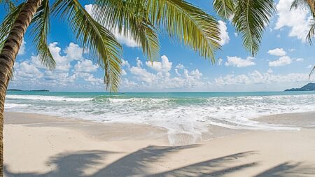 beach