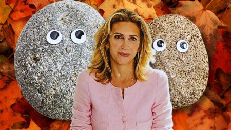 Bess Freedman, pet rock