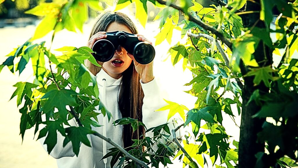 spy on your real estate competitors