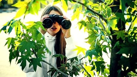 spy on your real estate competitors