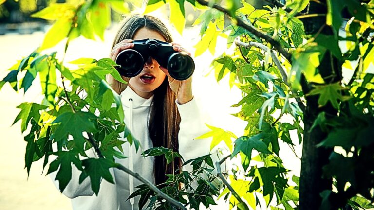 How to spy on your real estate competitors (to improve your ads)