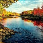 9 smart (and affordable) ways to generate real estate leads this fall