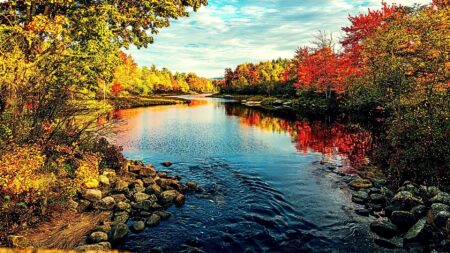 generate real estate leads this fall