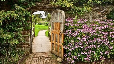 Compass Buyer Demand tool