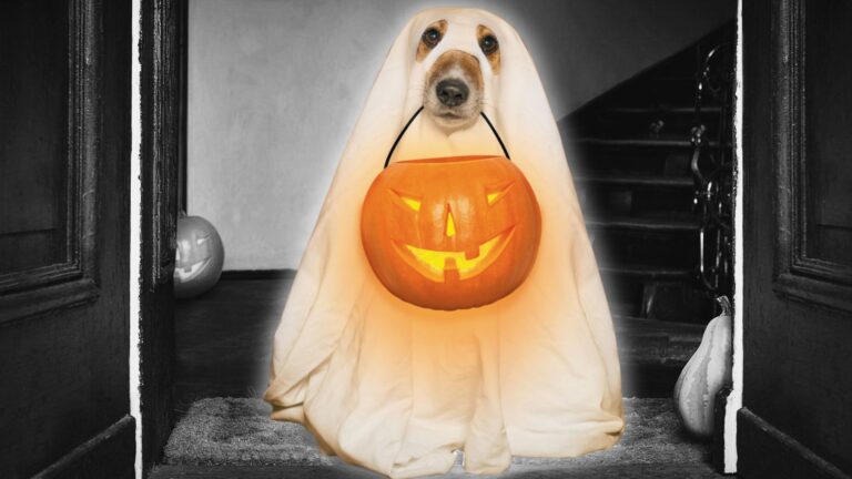 Pumpkin to talk about: 27 scary-good Halloween marketing ideas