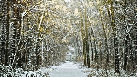 season of giving gratitude