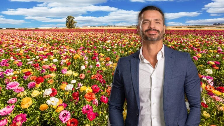 spring real estate market